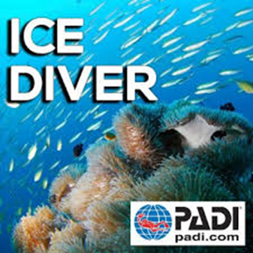 Ice Diver
